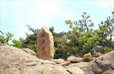 연홍빛 낭만, 황매산에서 즐기세요