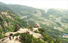 연홍빛 낭만, 황매산에서 즐기세요