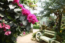 냄새가 내음이 되는 곳, 콧속 반응이 다르다