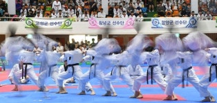 [사진] 카메라에 잡힌 날래고 재빠른 태권도 동작