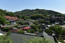 추사 김정희도 사랑한 서울의 비밀 정원