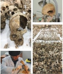 아산 배방 부녀자 학살 조사했더니 참상에 말문 막혀