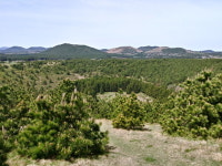 제주 오름은 골라 가야 제맛이지!