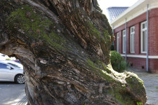 명량대첩은 섬진강변에서 시작됐다