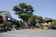 명량대첩은 섬진강변에서 시작됐다