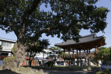 명량대첩은 섬진강변에서 시작됐다