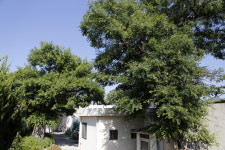 명량대첩은 섬진강변에서 시작됐다