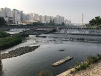 관망대슈퍼휴게실 | [모이] 대구 신천의 이상한 물고기 관망대
