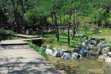 계곡은 한여름에 가는 곳? 모르는 사람들이 하는 말