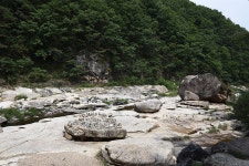 계곡은 한여름에 가는 곳? 모르는 사람들이 하는 말