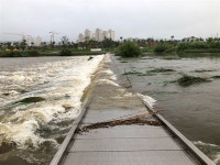 [모이] 강원동해 전천 자전거 다리 침수 주의  