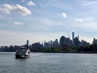 뉴욕에서 제일 핫한 슈퍼마켓에서 내가 고른 것