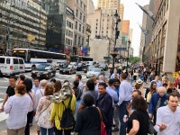 뉴욕에서 제일 핫한 슈퍼마켓에서 내가 고른 것