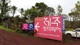 제주탐나라공화국, 입장료 대신 헌책 5권 줬더니
