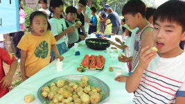 어린이부터 최고령자까지, 시골 마을에서 열린 감자 축제