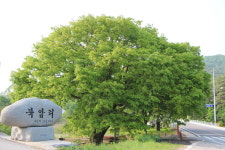 산 속에서 산 밖으로 그리고 점점 더 속세로