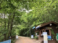 하늘정원 지리산 노고단에서 만난 여름 야생화