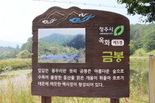 미원지역 달천 명승이 옥화구경이 되었다