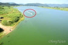폭염 속 닫힌 보 수문... 녹색이 돼버린 낙동강