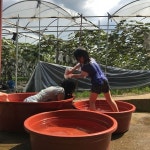 [사진 한 장] 빨간 고무 다라이 성인용 제작이 시급합니다