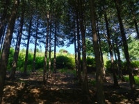 에어컨 없이 폭염 나기, 이게 있으니 할 만한데?