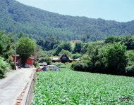 땀 흘리며 찾아간 강원도 오지 마을, 20년 전 풍경이 