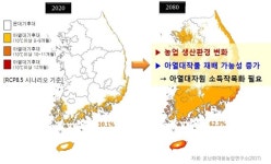 푹푹 찌는 한반도에 걸음 뗀 아열대농업