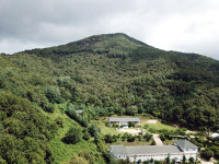 태양광 300건 몰린 공주시, 그만두고 싶다는 공무원