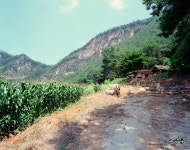 이런 동강의 민낯, 폭염이라도 보고야 맙니다