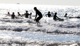 해수욕장 문 닫았다, 만리포니아로 떠나자