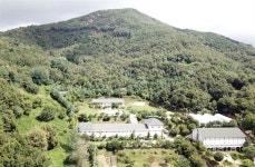 태양광 머리에 이고 사느니 목숨 걸고 싸우겠다