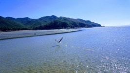 내 생애 최고의 여행지, 그 섬을 소개합니다