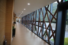 목재문화 체험도 하고 산림욕도 하고