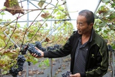 와인메이커로 변신한 권투 선수 와인 챔피언 될 겁니다