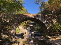 [모이] 유네스코 문화 유산 선암사에 없는 네 가지