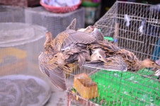 내 생애 가장 슬픈날이 된 베트남 새시장 방문기