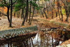 조선 왕릉에서 가을과 이별하다