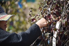 DMZ에 울려 퍼진 평화의 노래 평화음악회