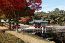 당신이 이 길을 지난다면, 차에서 내릴 수밖에 없다