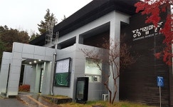 강릉시, 결국 강릉시립미술관 이전 취소 결정