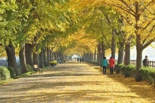 가을의 끝자락, 지하철 1호선으로 떠나는 여행