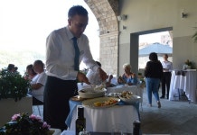 사람 안 피하는 길냥이들... 한국이랑 딴판이네