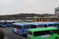 예당떡집, 행복마트, 명동분식... 당진터미널 사람들