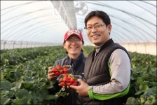 그림 같은 전원주택서 농사? 그 생각 접으세요!