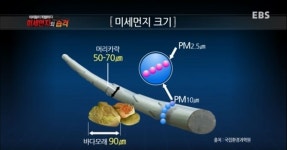 학교 주변에 이것 설치했을 뿐인데, 미세먼지 10배 차단