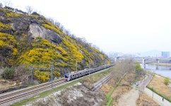 오늘도 왕십리-상봉은 북새통... 열차 과식은 그만