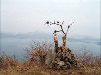 벌써 봄, 봄, 봄이 오네요!