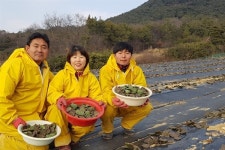 땡볕에 우의 입고 장화 신지만... 죽어도 농사지을래요