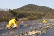 땡볕에 우의 입고 장화 신지만... 죽어도 농사지을래요