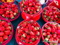 [사진] 북평장에 찾아온 동해의 봄